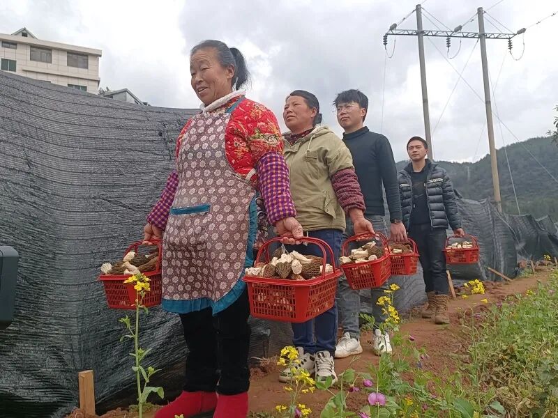>主页>新闻资讯>街镇传真>  据介绍,今年天堂镇除了在天堂村