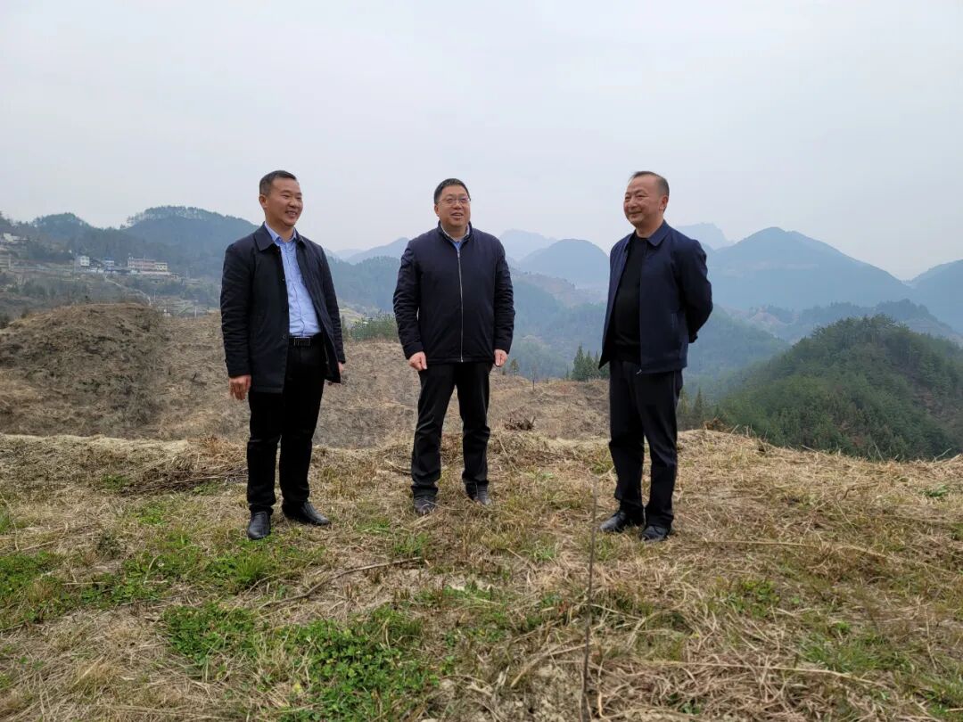 田杰到中兴街道调研产业发展