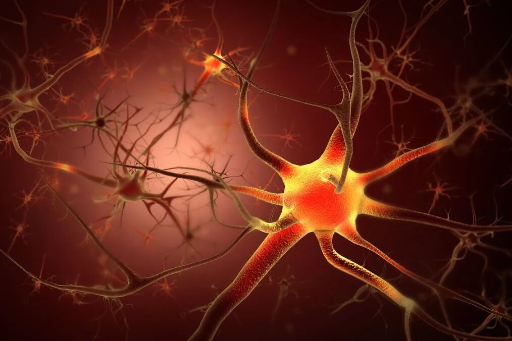 二级胚胎没有一级聪明_胚胎质量越好出生宝宝越聪明吗_胚胎等级和智力有关吗