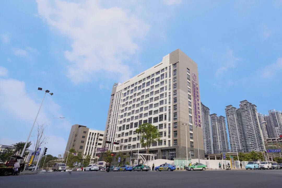 胚胎质量越好出生宝宝越聪明吗_二级胚胎没有一级聪明_胚胎等级和智力有关吗