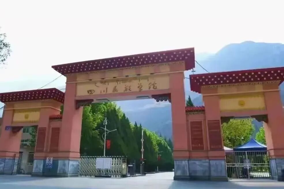 我们的故事,不止今天@阿坝师范学院