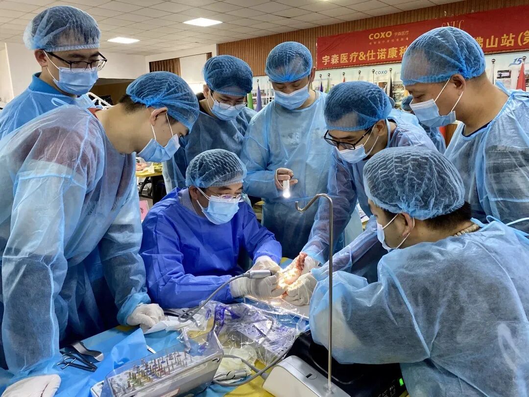 根管马达怎么修宇森医疗【免费】为您提供牙科设备，用于培训！_https://www.jmylbn.com_新闻资讯_第59张