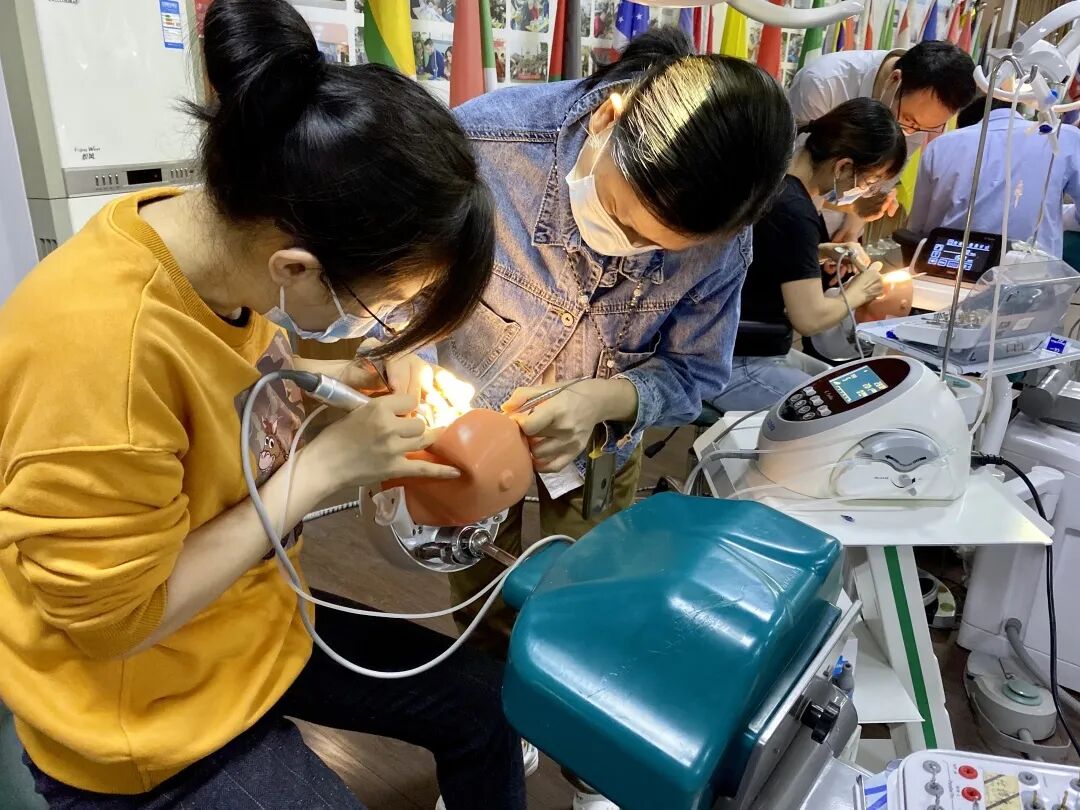 根管马达怎么修宇森医疗【免费】为您提供牙科设备，用于培训！_https://www.jmylbn.com_新闻资讯_第60张