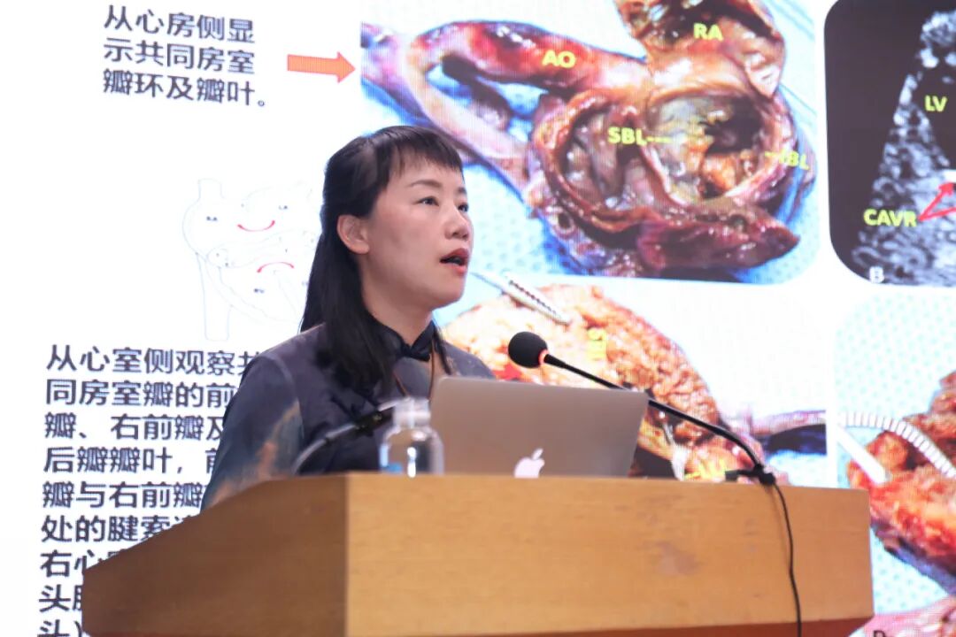 民营医院超声怎么卖贵州省研究型医院学会超声医学专业委员会第一届全体委员大会暨贵州省民营医疗机构协会超声医学分会学术年会顺利召开_https://www.jmylbn.com_新闻资讯_第8张