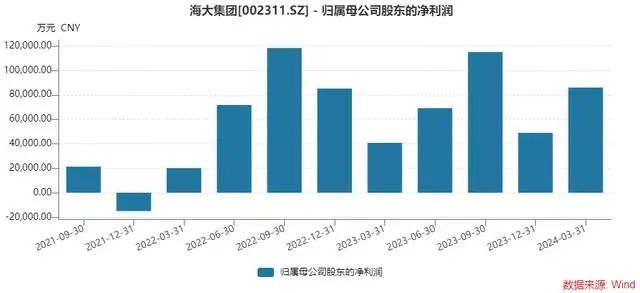 2024年07月24日 海大集团股票