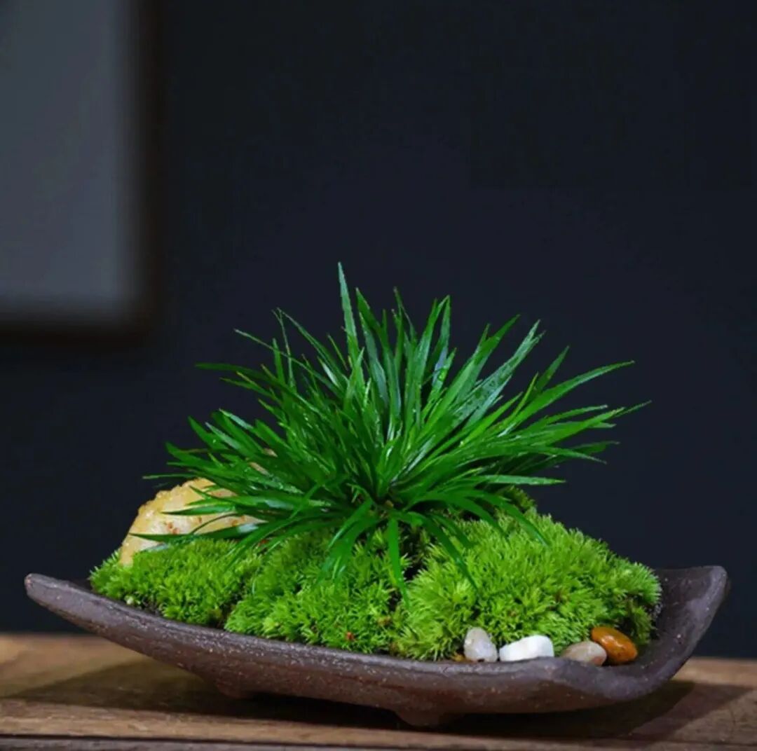 山水旧时心（64）关系也是本事文/韩雪丽