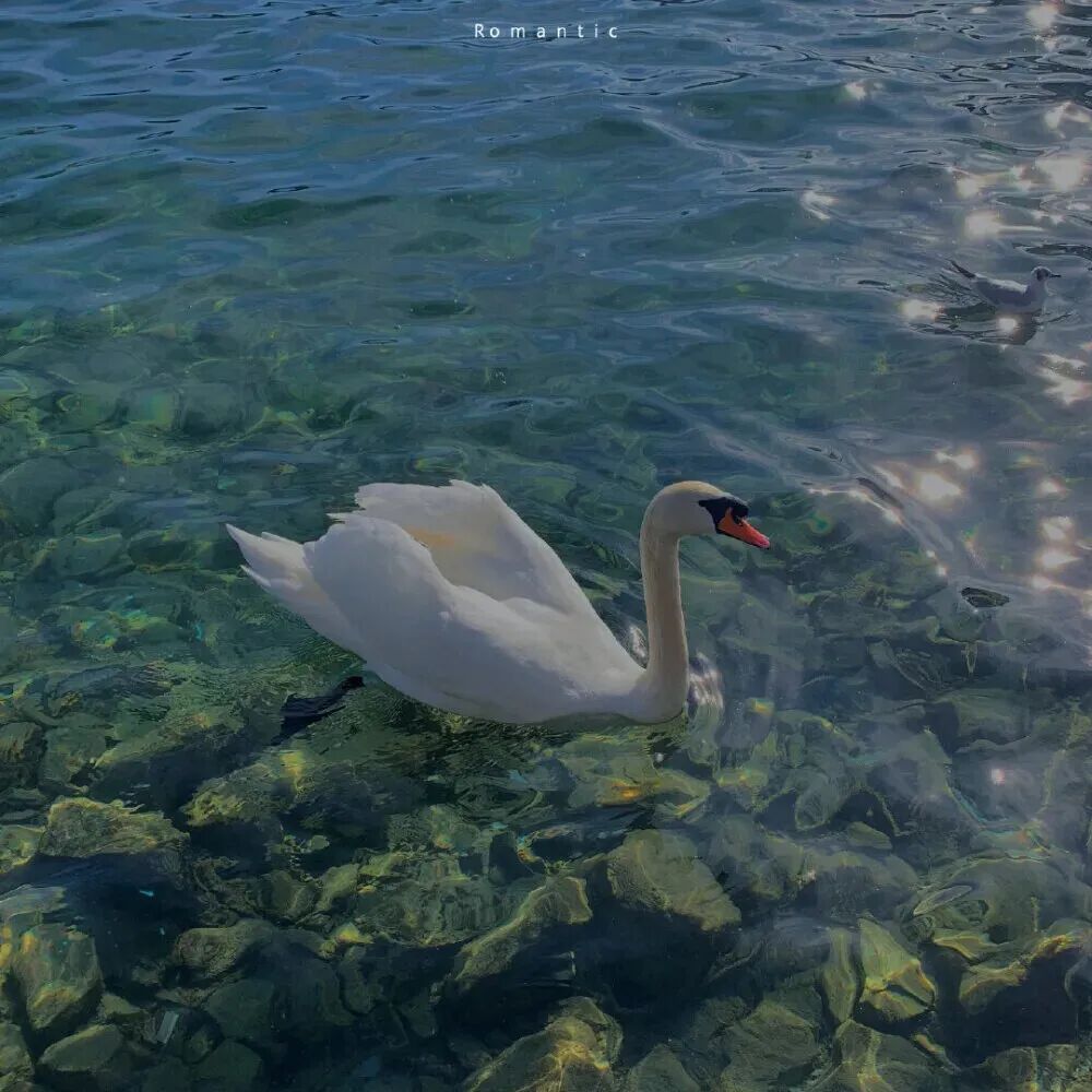 扁舟浮玉山前过，想见江湖万里情