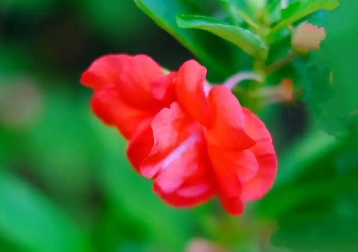 山水旧时心（44）懂欣赏也是本事文/韩雪丽