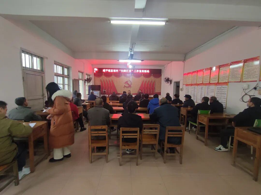 村开展"扫黄打非"专项检查3强化宣传引导,确保良好氛围昭平镇通过强化