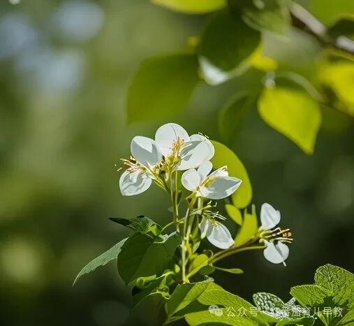 立春，给宝宝播种春天的希望