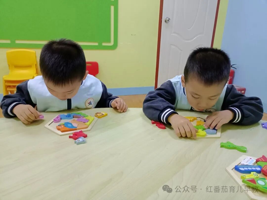 感统失调的孩子太难了