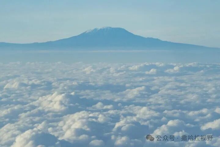 你好，非洲 | 新华走笔-中非友好经贸发展工作委员会