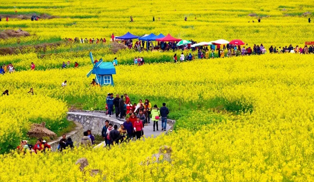 喜报南丹县芒场镇被认定为首批国家农业产业强镇