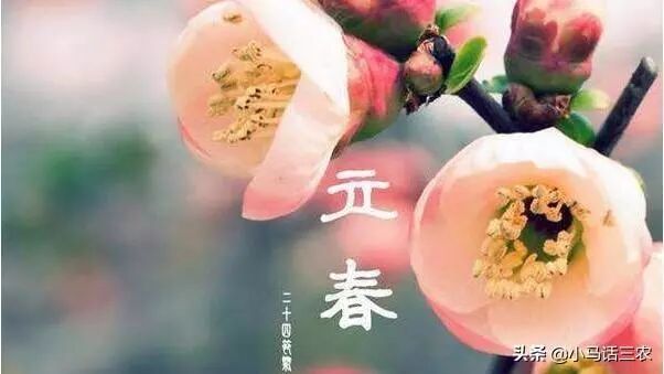 2020年有两个立春，是人们所说的“双春年”？双春年有哪些说