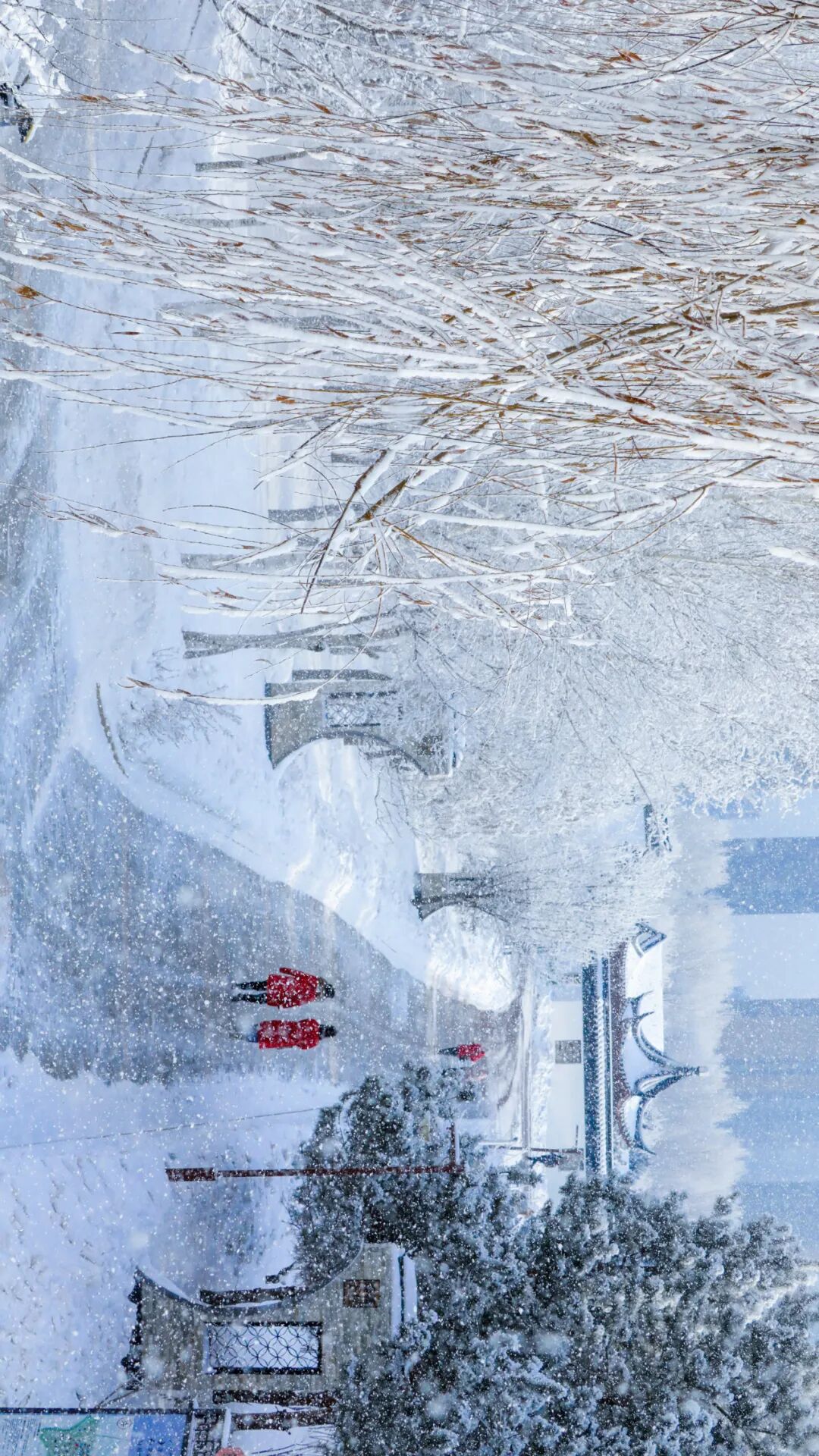 你好2024赴一场雾凇之约