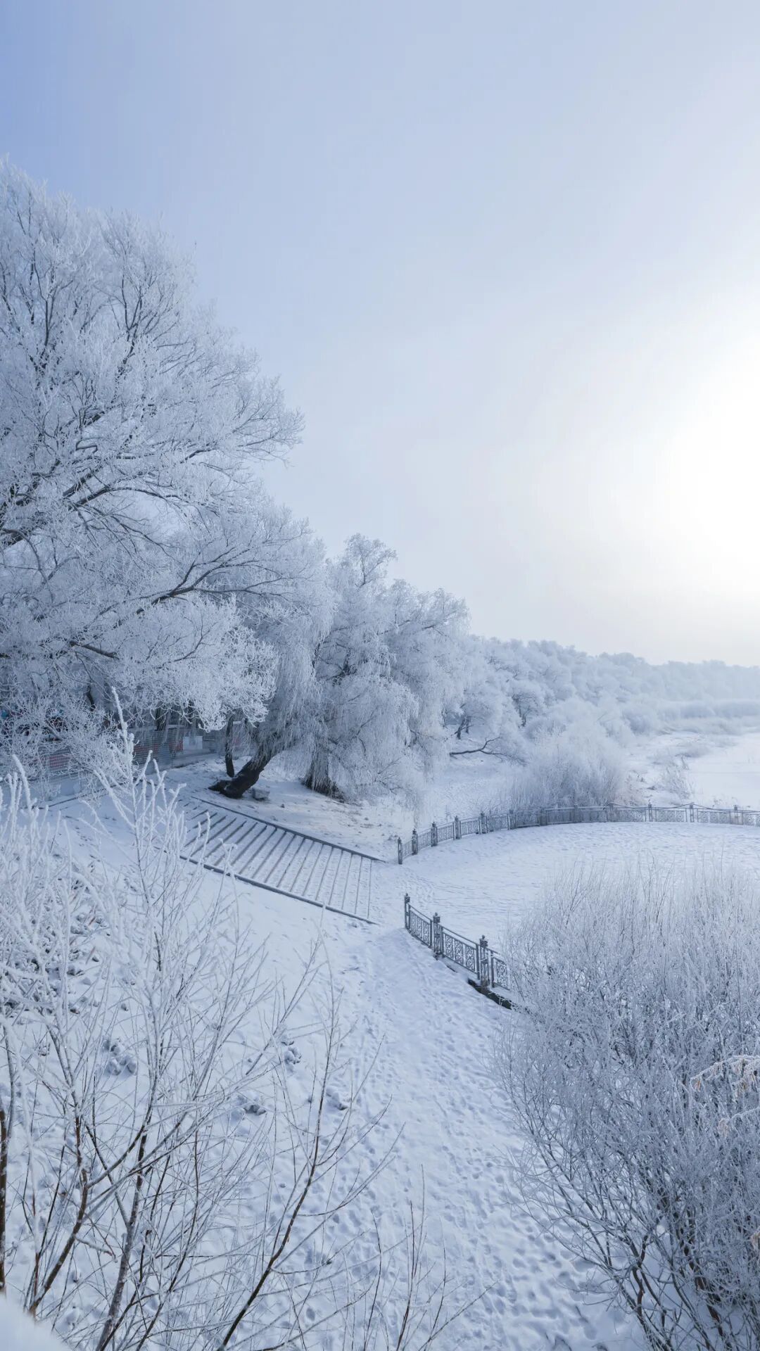 你好2024赴一场雾凇之约