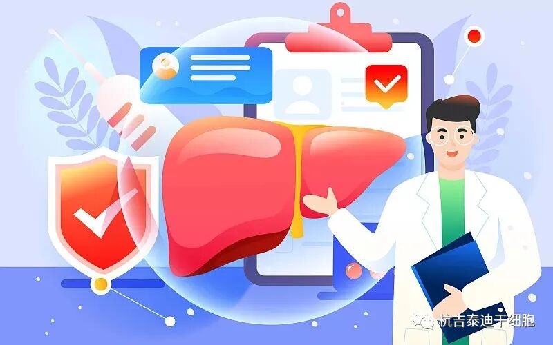 世界肝炎日插畫