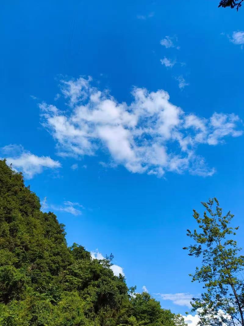 麓枫生活馆