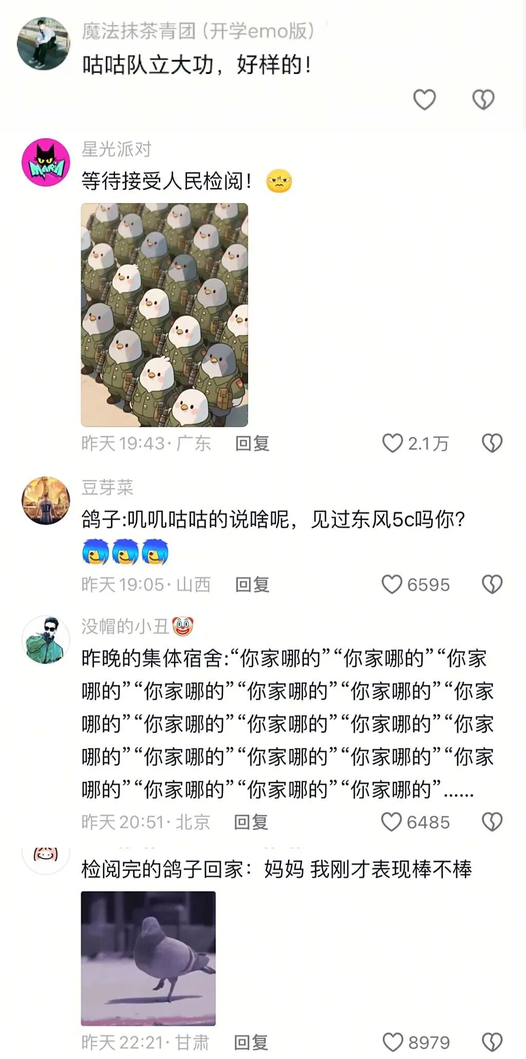 天津和平鸽归巢主人激动吹哨迎接