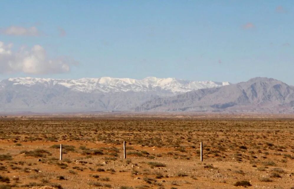 塞外随笔 | 杨献平：沙漠的红花绿叶，还有仙人掌(图4)