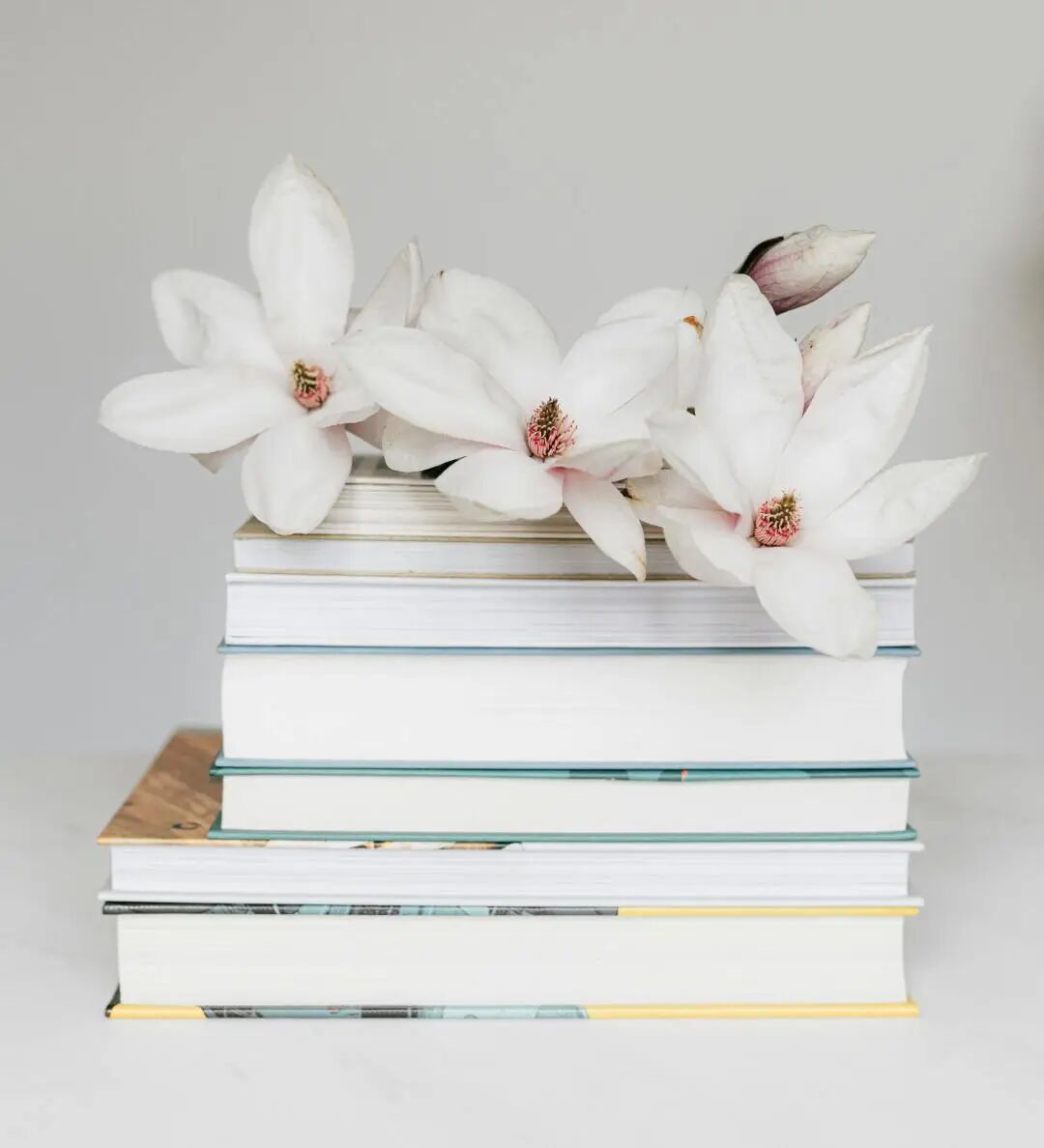 创作谈 | 海男：从山底往上走再往下走