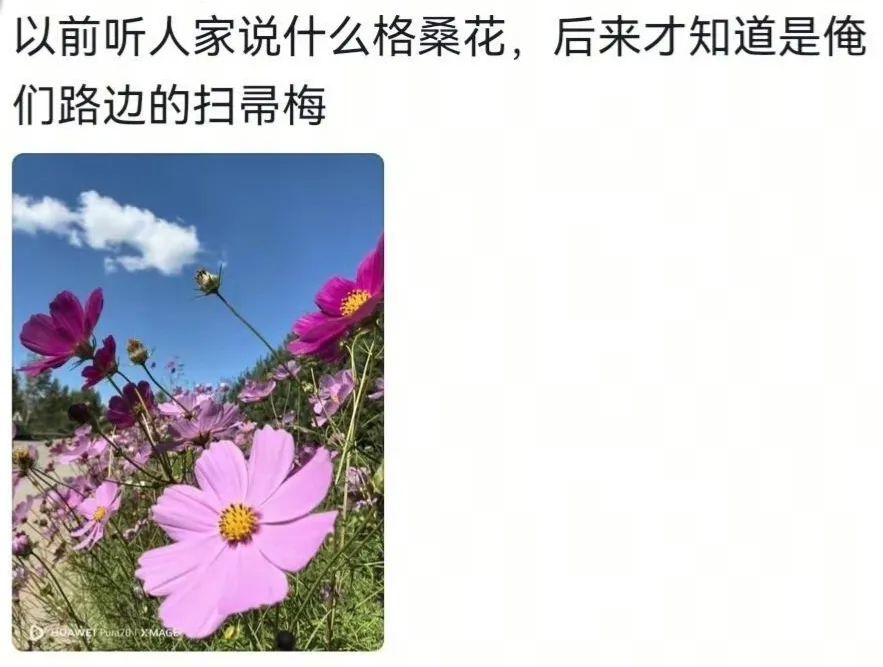 终于知道东北为什么不宣传景区了,终于知道东北的景点为啥都不宣传了哈哈哈哈哈哈 ｜糗..