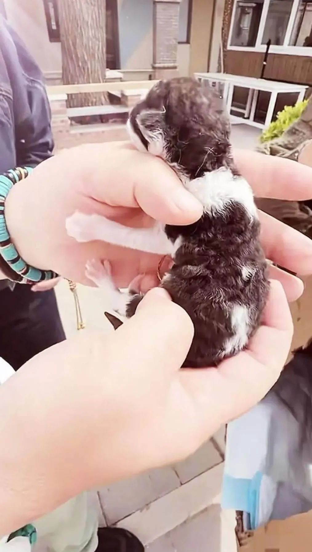 于谦人生经历