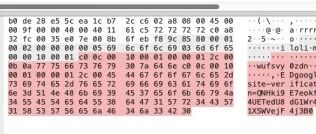 Example Image