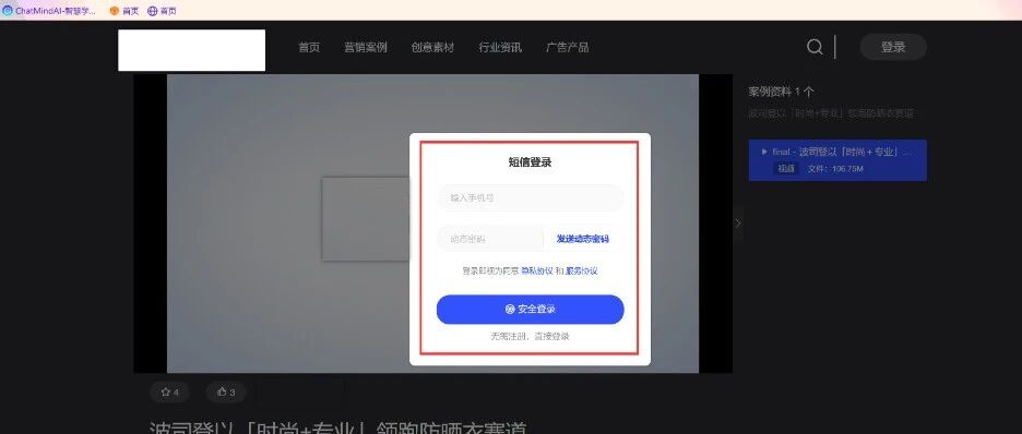 Example Image