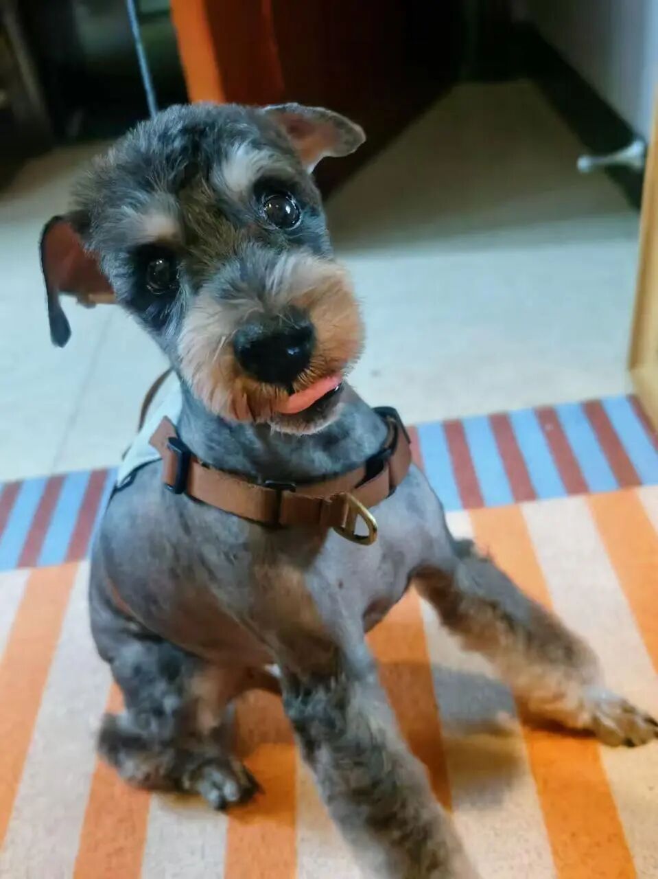 我宣布：今年春节的年味，交给秒哒了！