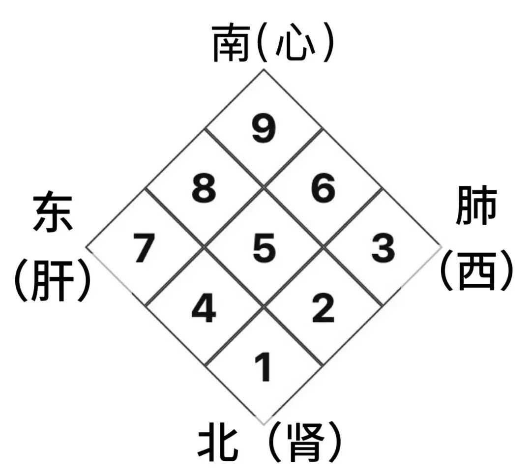 新篇｜金日光教授：（十）如何看待当前的医理和药理？(图3)