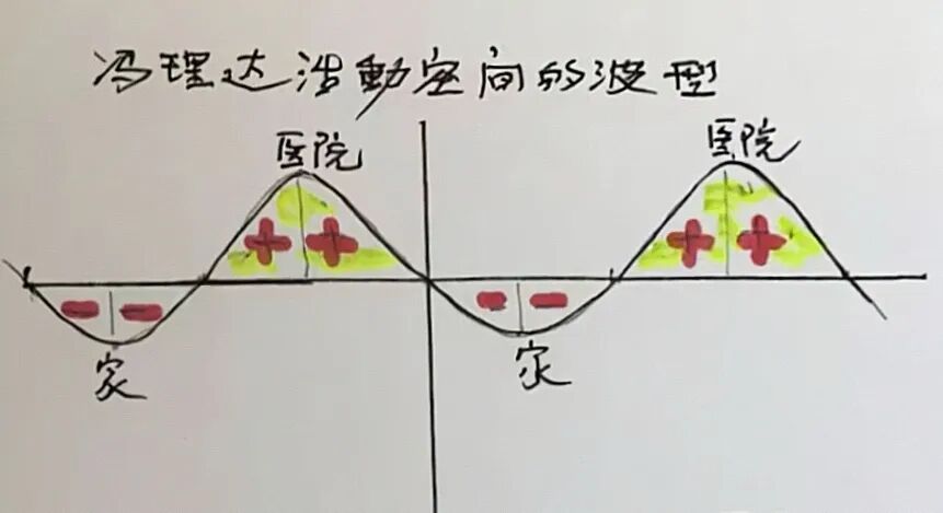 金日光教授：（八十一｜中）永不忘当年钱老劝导我们“用当代科学传承《黄帝内经》医理和建立《中药本草》科学药理标准”的教导(图6)