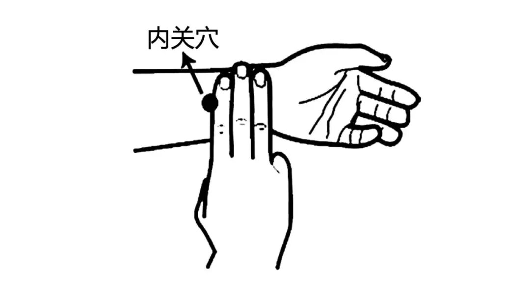 金日光教授：（十三）如何看待当前的医理和药理？(图15)