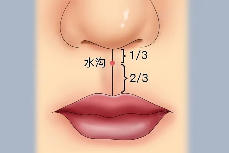 金日光教授：（十三）如何看待当前的医理和药理？(图4)