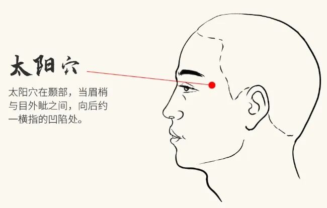 金日光教授：（十三）如何看待当前的医理和药理？(图3)