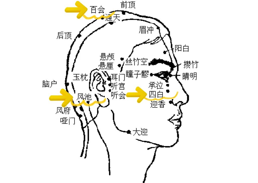 金日光教授：（十三）如何看待当前的医理和药理？(图2)