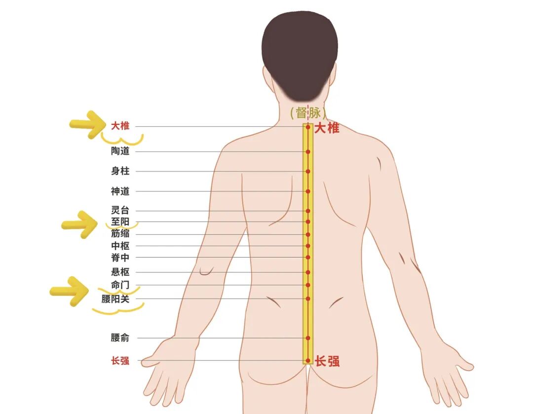 金日光教授：（十三）如何看待当前的医理和药理？(图5)