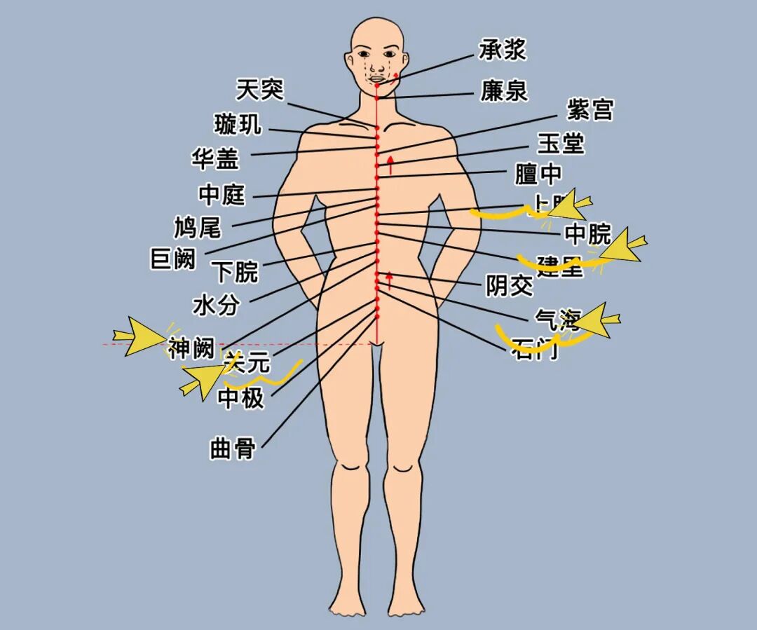 金日光教授：（十三）如何看待当前的医理和药理？(图10)