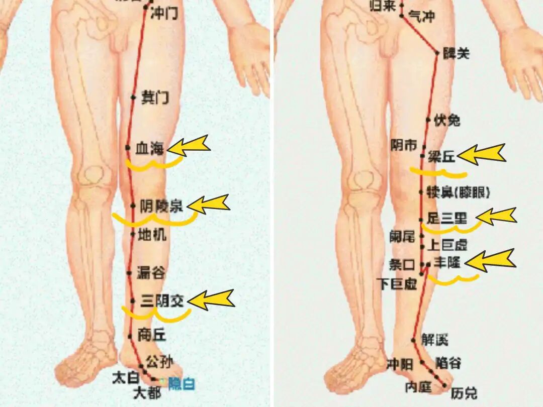 金日光教授：（十三）如何看待当前的医理和药理？(图18)