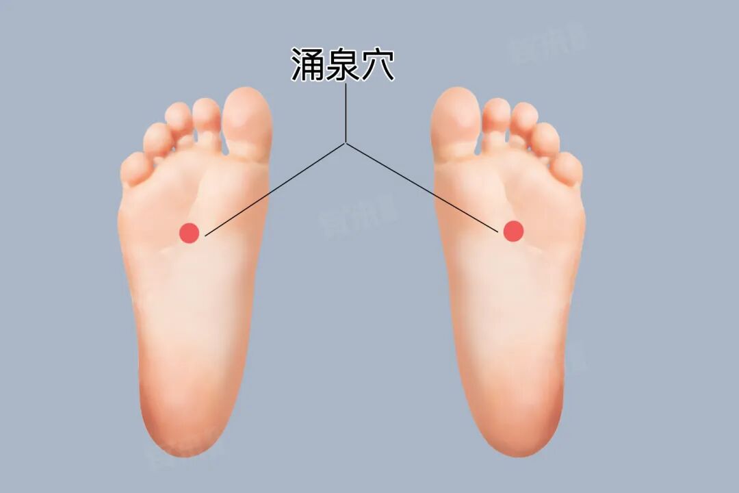 金日光教授：（十三）如何看待当前的医理和药理？(图22)