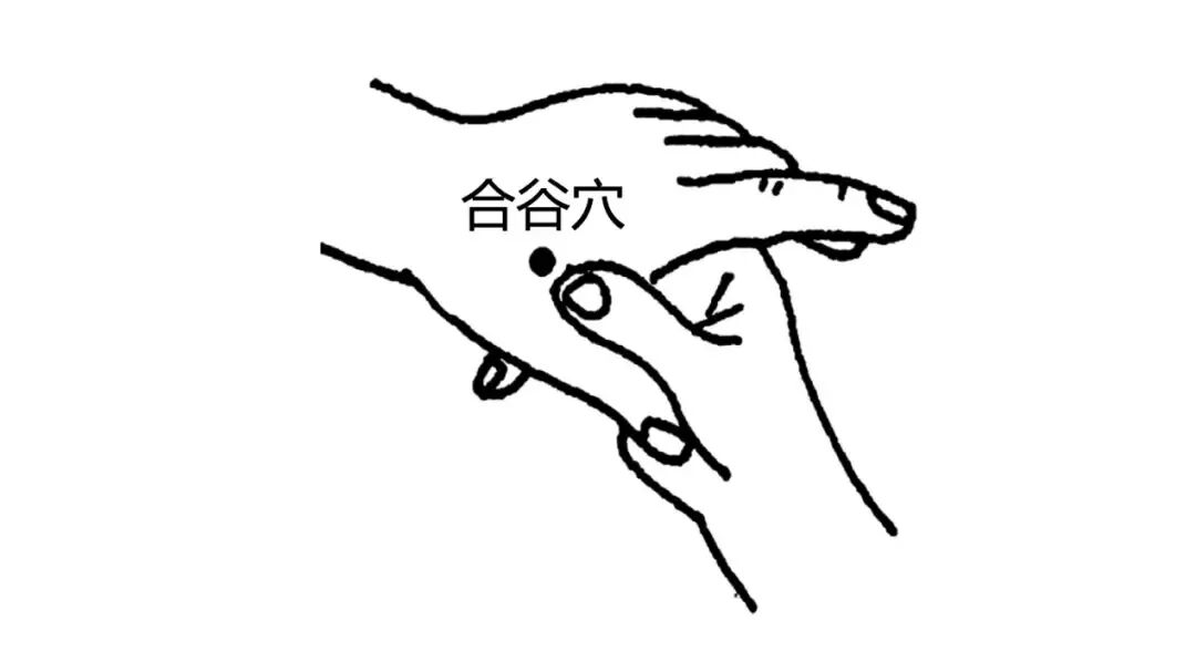 金日光教授：（十三）如何看待当前的医理和药理？(图16)