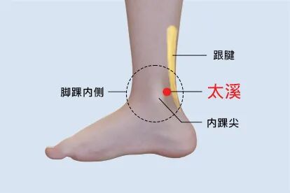 金日光教授：（十三）如何看待当前的医理和药理？(图20)