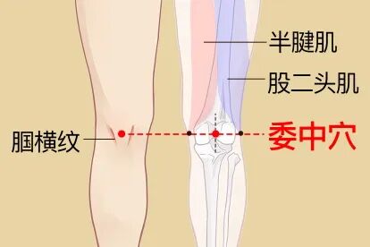 金日光教授：（十三）如何看待当前的医理和药理？(图21)