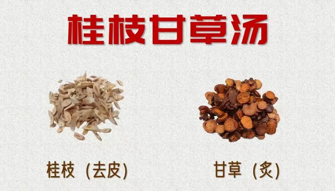 金日光教授：（十二）如何看待当前的医理和药理？(图5)