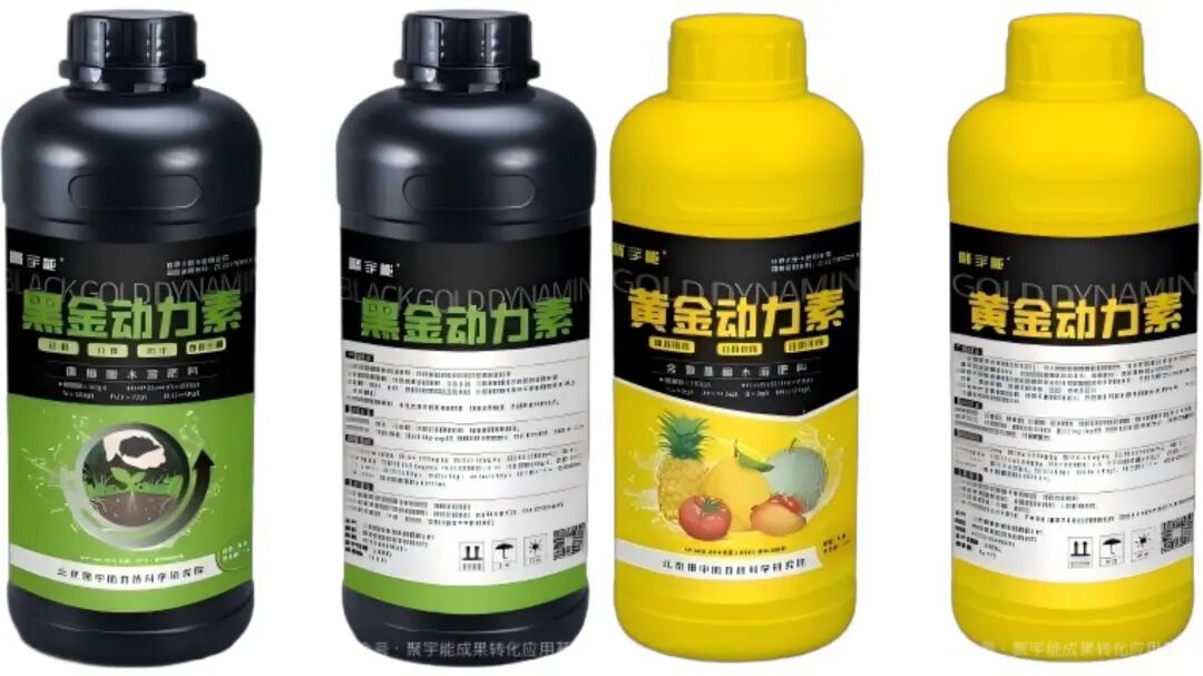 金日光教授：（七十九）永不忘当年钱老劝导我们“用当代科学传承《黄帝内经》医理和建立《中药本草》科学药理标准”的教导(图8)