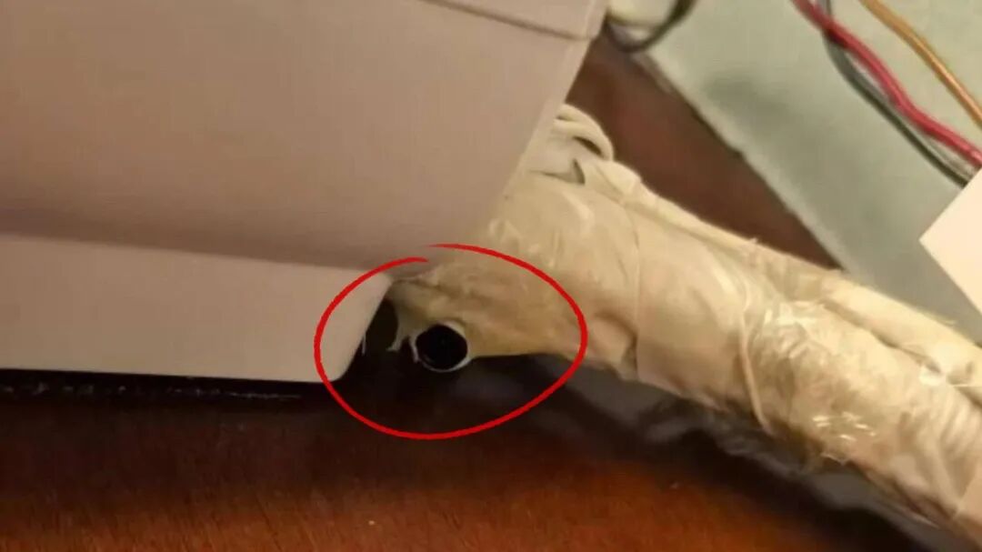 情侣住酒店发现空调通风管藏摄像头！国庆出游当心这些隐藏点！