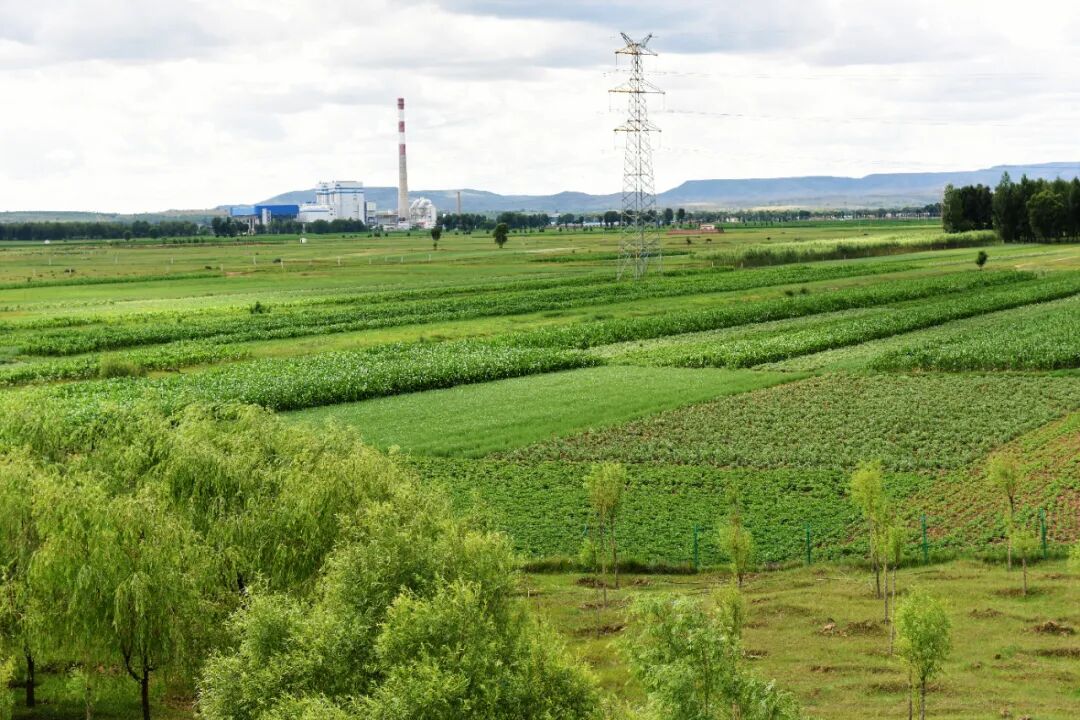 乌兰察布市化德县天气马上知