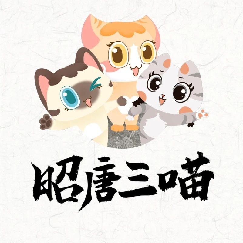 西安有安米网络科技有限公司