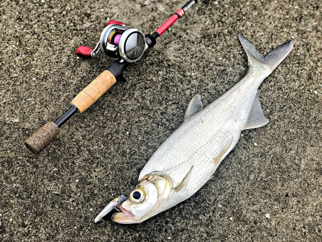 上海服装展览会2023_上海服装展_上海服装展会